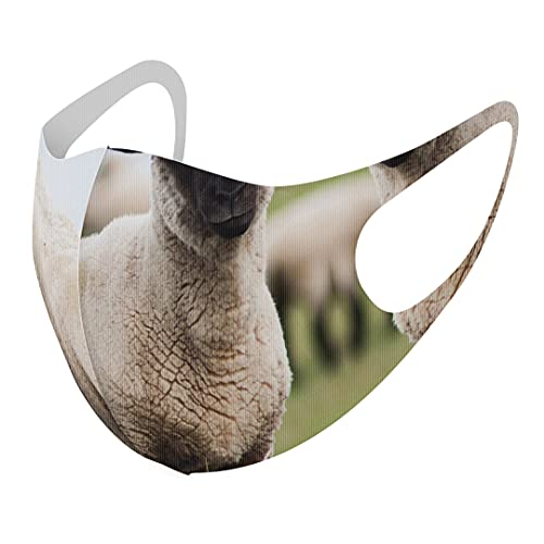 [igsticker] fUC }XN QZbg |GXe 􂦂 z}XN XLTCY 傫 jp 002653 Aj} Ђ  ʐ^