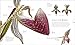 The Science of Plants: Inside Their Secret World (DK Secret World Encyclopedias)