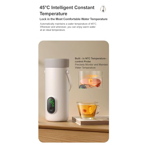Tetera eléctrica portátil Ejoyous 350ml mini sin cable miniatura 5