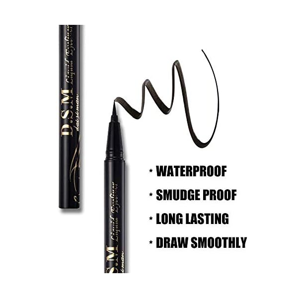 SEILANC Waterproof Liquid Eyeliner Long Lasting&Smudgeproof Eye Liner 2 Packs Precise Eyeliner Pen for All Day with Slim Tip, Black