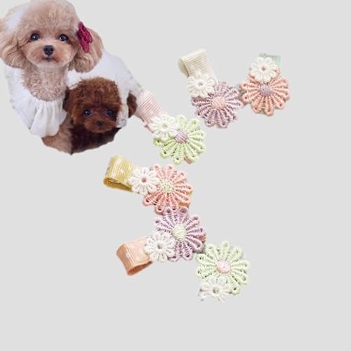 [IJVybg]   wAs ANZT[ ~jNbv ^ ^  ڂ   }JJ[̂ԃNbvs hbOEFA ^ ybgp 񂿂 n[lX fCW[ [X t[ (6)