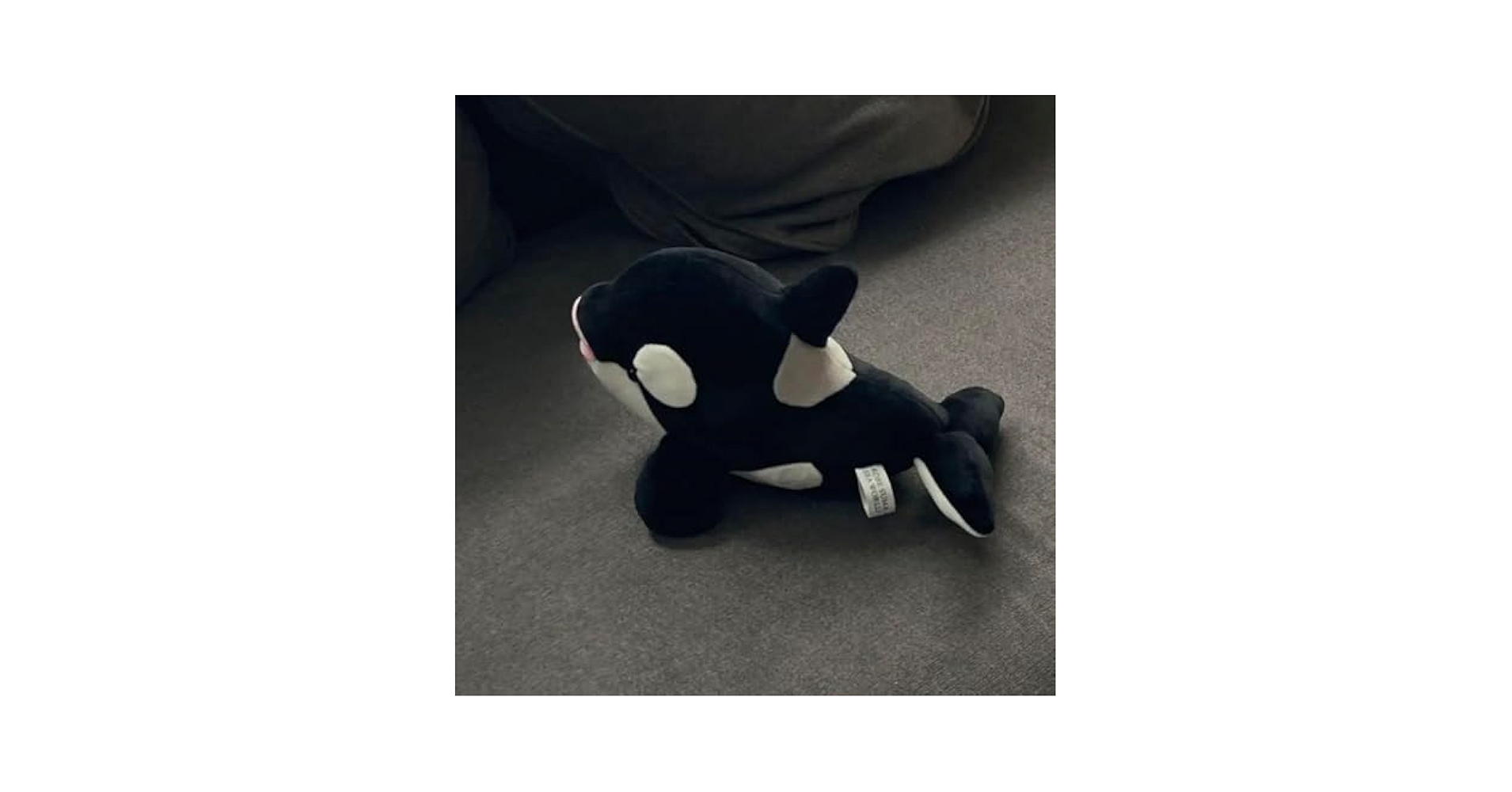 Amazon.co.jp: 神戸須磨シーワールド オルカくじ シャチくじ 4等