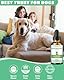 Hunde Hustentropfen - Rein Pflanzlicher Hustensaft für Hunde - Natürliche Unterstützung Immunsystem & Atemwege - Mit Marshmallow Root, Mullein Leaf, Echinacea - Bacon-Geschmack