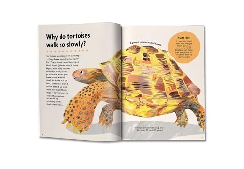 First Big Book of Why