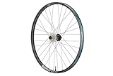Roue arrière Grappler Sidekick Flux Carbone – Downhill – 29