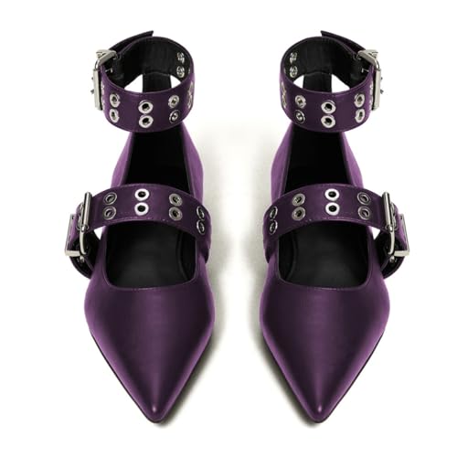 Milooey shoes Women's Pointed Toe Low Heel Pumps Mary Jane Buckle Ankle Strap Flats Shoes Daily Casual Dressy Size 4-16 US4