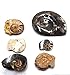 Ammonite, Nautilus & Goniatite Fossil Lot (6 Pieces) -17028