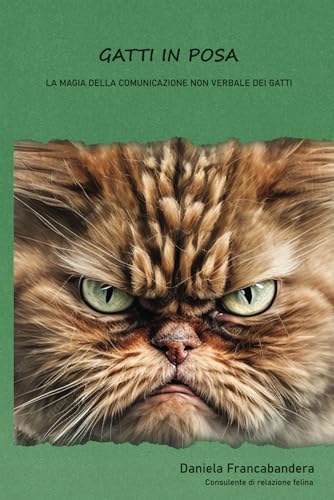 Gatti in posa: La magia della comunicazione non verbale dei gatt