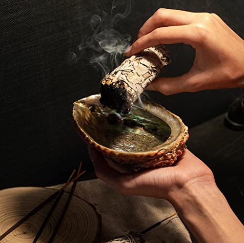 ESPOIR & AMOUR White Sage 7" - 3 Spiritual Sage Sticks for Smudging, Healing and Ritual - Hand-Tied Sage Smudge Sticks to Cleanse Negativity - Sustainably Harvested 7 Inch Californian Sage Bundle