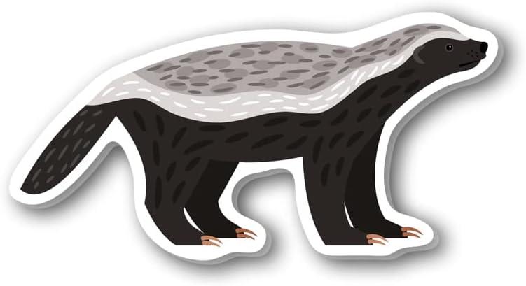 REGALOCASILA Honey Badger Ratel Africa Animal Acrylic Fridge Magnet Home Décor Kitchen Decoration Living Room Gifts Items