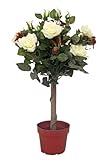 McPalms Rosenpflanze 60 cm weiß Kunstpflanze Kunstblume