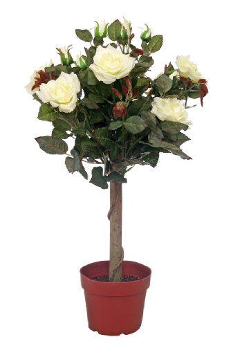 McPalms Rosenpflanze 60 cm weiß Kunstpflanze Kunstblume
