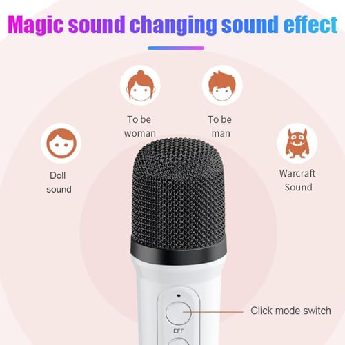 Machine de karaoké portable Bluetooth rechargeable avec de magnifiques effets d'éclairage RGB