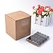 Enslz 100 Pcs Essential Oil Glass Bottles Mini Tiny Refillable Empty Aromatherapy Perfume Liquid Amber Glass Bottles (1ml) …