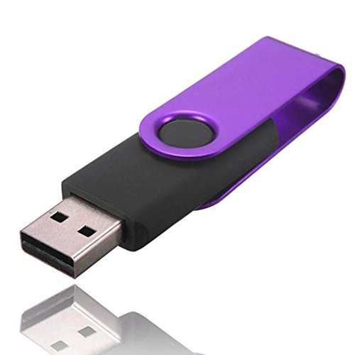 CreazyÂ® 2GB Swivel USB 2.0 Metal Flash Memory Stick Storage Thumb U Disk (Purple)