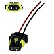 L & P Car Design 2x HB3 Lampen Stecker Fassung Sockel Lampenfassung Lampensockel Lampenstecker P20d 9005 mit Kabel für Lampen Glühlampen Glühbirnen