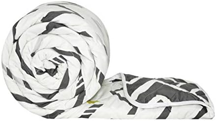 Divine Casa 120 GSM Microfiber Single Bed Comforter | Soft & Lightweight Reversible AC Blanket | All-Season 3-Layered Quilt | 230 x 140 cm, Slate