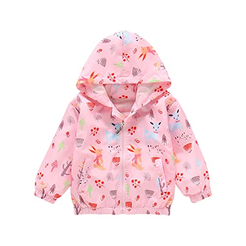 日曜日限定お値下げrosymonster dot quilting jacket 日曜日限定お値下げrosymonster dot quilting jacket 日曜日限定お