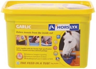 Horslyx Garlic Lick Refill 5kg