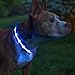 Blazin' Safety LED Dog Collar – USB Rechargeable with Water Resistant Flashing Light, Medium, Blue