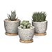 T4U Maceta de Cactus Suculenta de Cemento, Jardinera de Hormigón Maceta Contenedor Jardinera, Pequeña Olla de Barro Plantas Flores con Bandeja de Drenaje de Gris Conjunto de 3