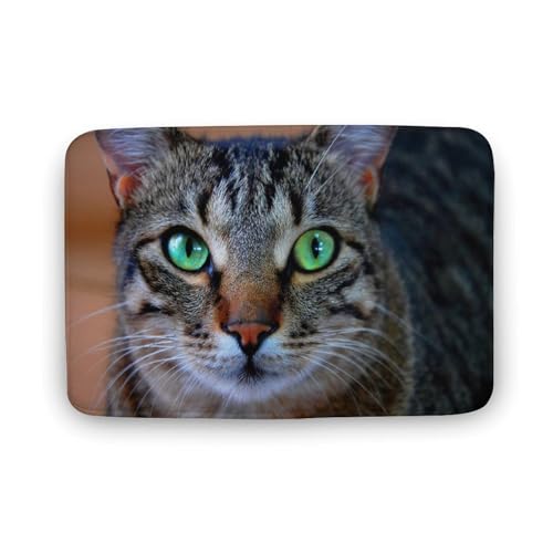 L   oX}bg \tg􂦂 z  փ}bg  O   傫 ~ Aj LN^[ @}bg   ʏ