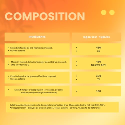 MOROSIL BOOST | Brûleur de graisses hautement dosé | Complément minceur | Thé Vert | Guarana & Zinc | Minceur Homme & femme | Ekiboost | Morosil® | Fabriqué & Conditionné en France | 120 Gélules – Image 6