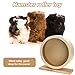 TusaMer Hamster Wheel 6 Inch Waterproof Moistureproof Stable Wooden Silent Hamster Wheel Silent Rat Gerbil Hedgehog Hermit Crab.