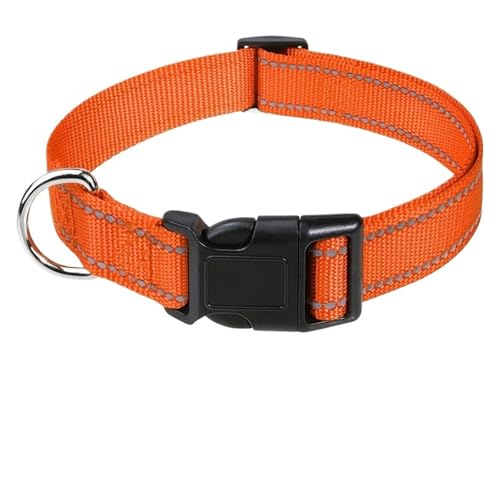 ^p qp p 傫ȑ(Orange,L(2.5CM)(40-60CM))