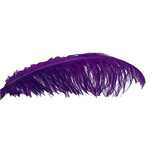 Kolight® 100Pcs Ostrich Feather Purple 10"-12" Natural Feathers Wedding, Party,Home,Hairs Decoration #TOP1