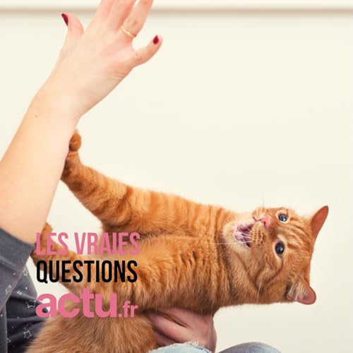 Pourquoi les chats nous mordent-ils quand on les caresse ?