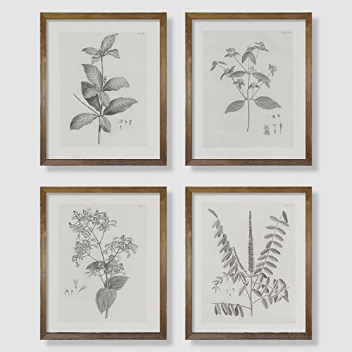Farmhouse Wall Art Botanical Print - Set of 4 Picture