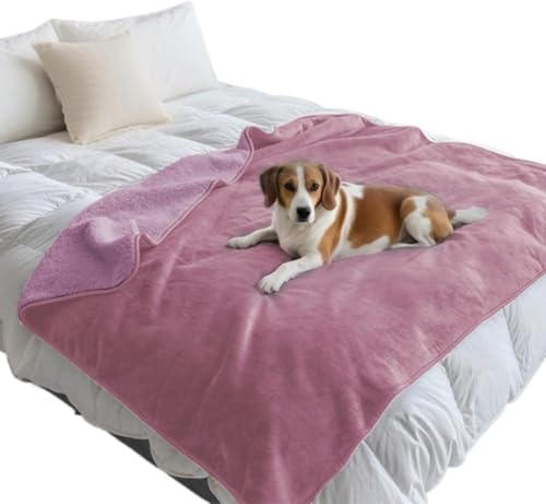 Ornatego Shybg}bgF@ŊېOKA␅ԂƋیB_炩Gň낰BTCY4ށAAEghA܂ŕLp\B (50*70cm,L)