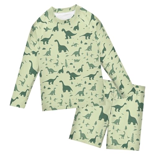 Cute Dinosaur Toddlers and Baby Boys' Swimsuit Trunk and Rashguard Set B0404105