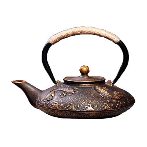 tetsubin Cast iron Tea Kettle workshop Healthy japanese fish pattern Teapot with Stainless Steel Infuser?30.4oz?