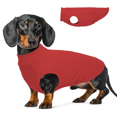 Image of Stretch Fleece Dachshund Sweater for Chilly Days, Red, L | Warm Sleeveless Dachshund Clothes, Lightweight Breathable Pullover Sweatshirts for Outdoor Movement, Wiener Dog Clothes