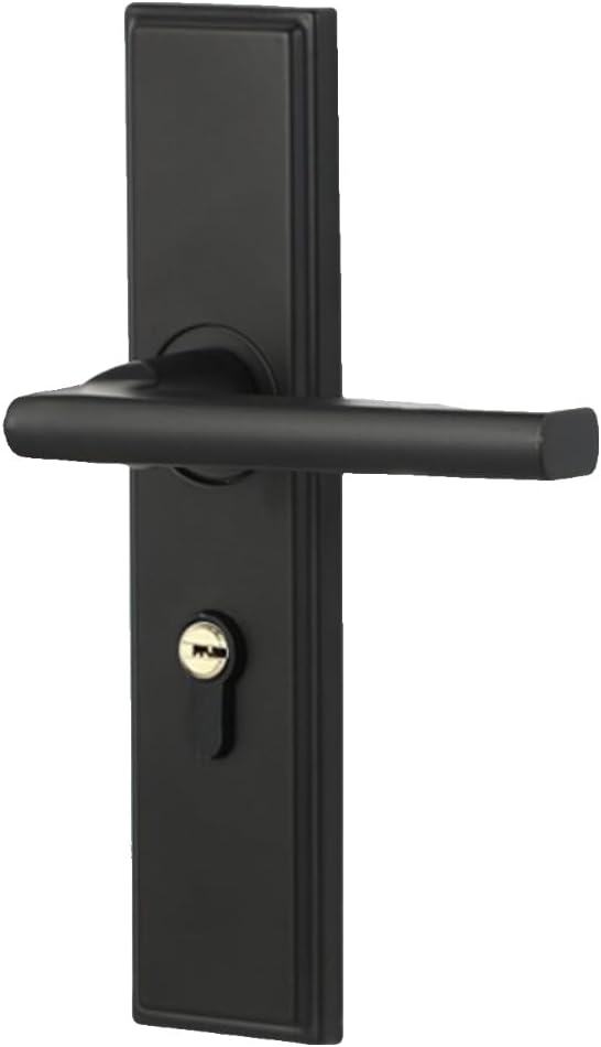 Integrated Black Wooden Door(Black148 Distance 60)
