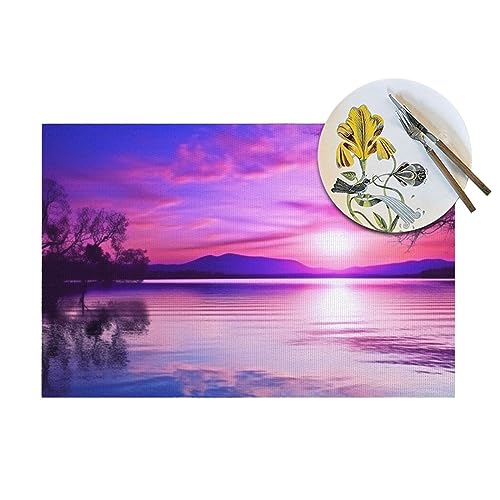 Sets de table résistants haute qualité au design coucher de soleil pour dîner - 7