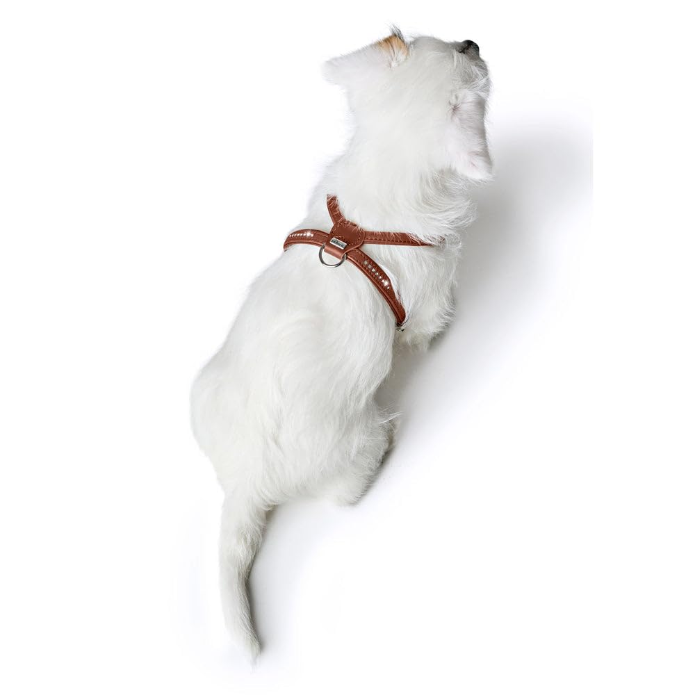 HUNTER Harnais pour Chien Round & Soft Canadian Up Cognac Cuir Souple Taille S/2