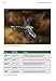 Wildlife Photography Fieldcraft