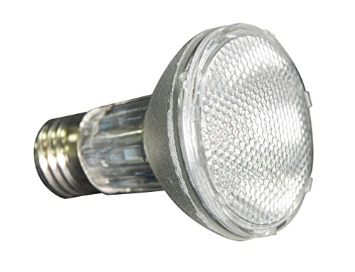 Lucky Reptile Bright Sun Set DL Desert - 35 W Metalldampflampe inklusive Einbauleuchte & Vorschaltgerät - Reptilien Lampe mit sonnenähnlichem Lichtspektrum - Terrarium Zubehör - UV-Set in schwarz