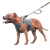 ICEFANG GN1 Reflective Tactical Dog Harness Medium Sized, MOLLE K9 Dog Vest with 2X Metal Buckles,Adjustable Pet Harness, No Pulling Front Leash Clip (Medium (Pack of 1), Grey)