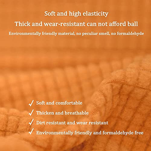 Coprisedia con Schienale,Fodere Coprisedia