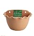 Link Solar Hanging Planter Pots,Small Decorative Wall Planters for Herb Decor Hanging Plants, Wall Hanging Planter with Metal Hooks(Light Brown, 3044)