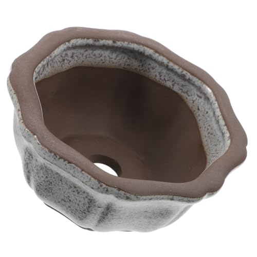 YARNOW Maceta Suculenta Mini Macetas De Vivero Macetas Al Aire Libre Jardineras De Arcilla Mini Ollas De Barro Jardinera En Miniatura Maceta con Orificio De Drenaje Minimacetas Cerámica