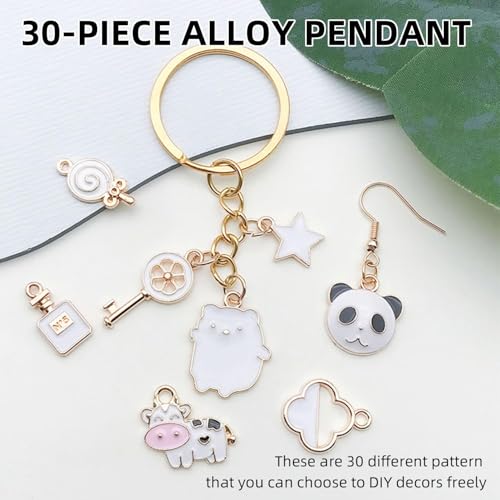 TecoKart Charms for Bracelet Making 30PCS Set