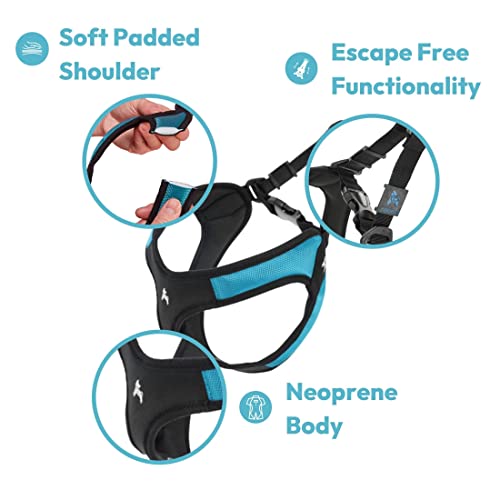 Image of Gooby Escape Free Easy Fit Dog Harness, Step-in, Blue, Small