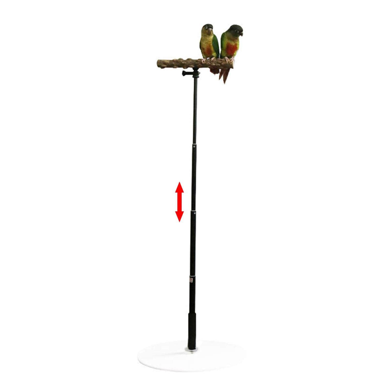 Vogelstange Holz Parrot Training T Stand Sitz Spielplatz Leiter Funktion Unterstützt Mentale Und Körperliche Entspannung für Tisch Büro Fensterbank Kä