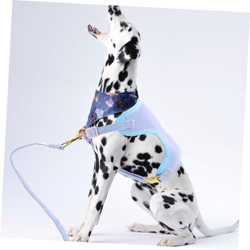 Laisse et collier de sécurité pour chien confortable bleu