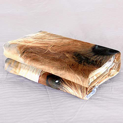 Couverture de sieste en peluche douce pour canapé et lit